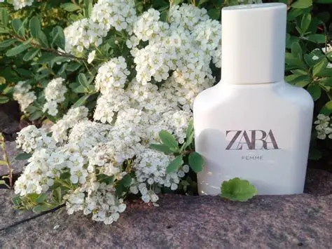 Zara Femme
